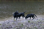 Wandeling Zoey