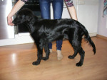 Dax 5 maanden oud