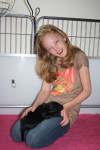 De "nanny" van de pups! 03-07-2013