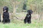 Mama Lilly en zoonlief Joey