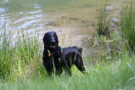 Lilly