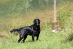 Lilly was niet uit het water te krijgen!