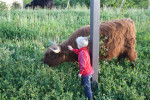 Even aaien