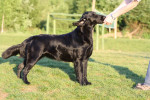 Lilly, windje tegen