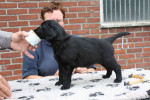 lexy op tafel 6,5 week