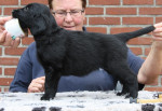 Lexy op tafel 6,5 week