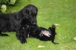 Samen spelen!