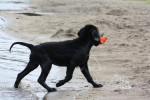 Lexy bijna 14 weken 20-09-2011