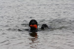 Zwemles van mama Darcy 20-09-2011