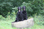 Lilly en Lexy