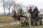 Even allemaal aan de kant voor de paardenkoets