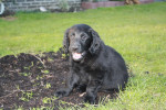 Lilly 22-01-2010